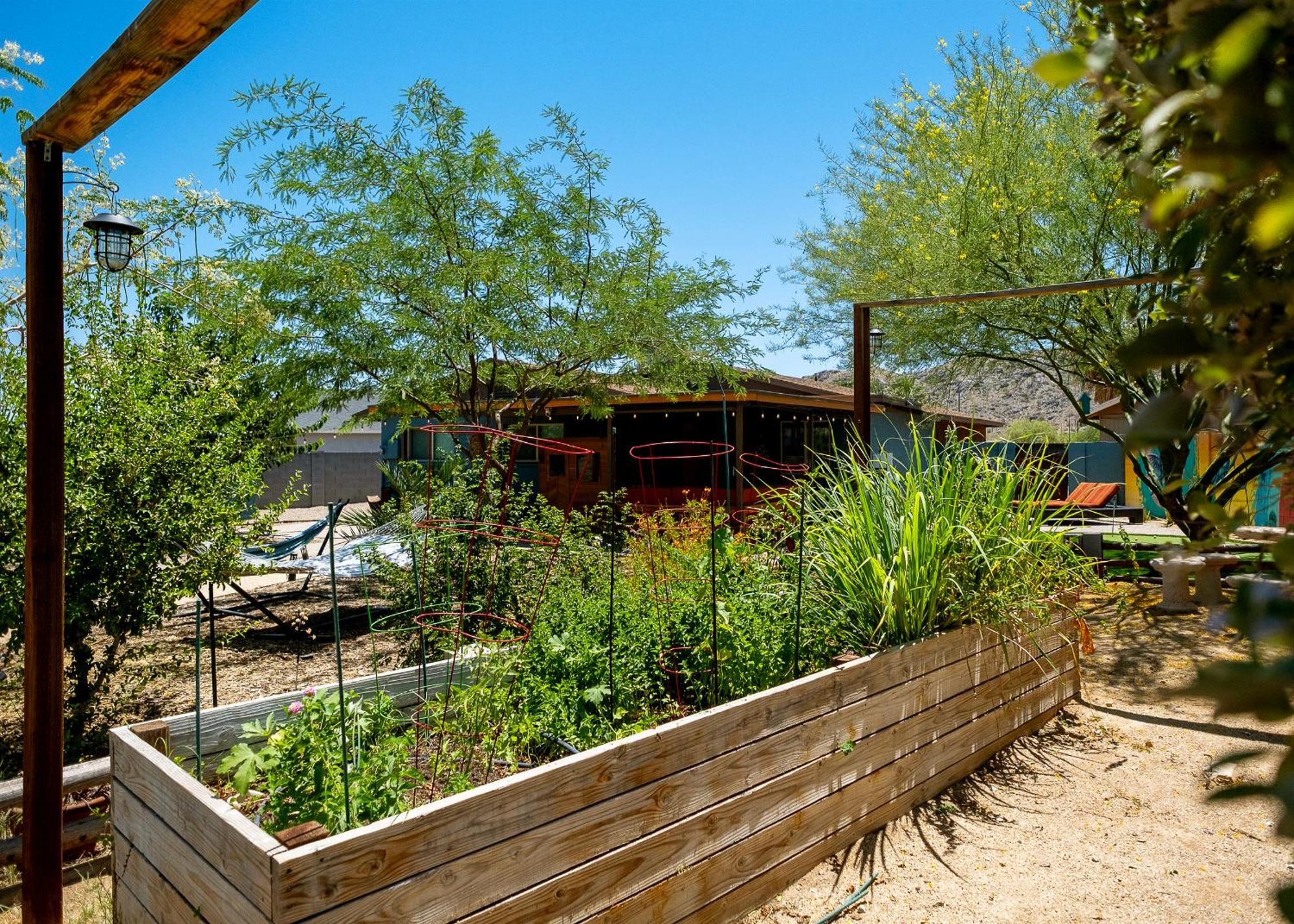 The Hummingbird House, Sauna & Mountain Views! Villa